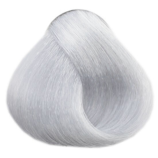 LOVIEN ESSENTIAL LOVIN Color farba na vlasy 100ml - Silver Grey 12.1