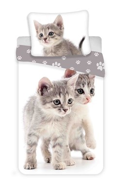 Obliečky fototlač Kitten grey
