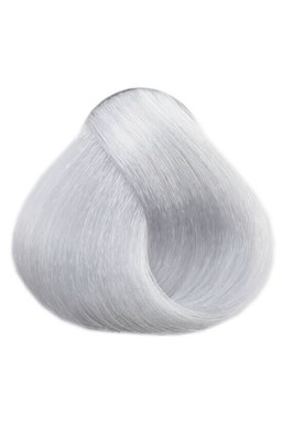LOVIEN ESSENTIAL LOVIN Color farba na vlasy 100ml - Silver Grey 12.1
