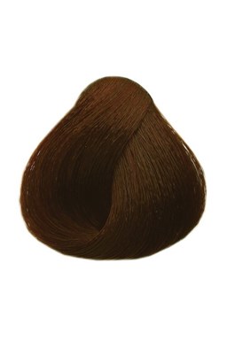 BLACK Sintesis Barva na vlasy 100ml - intenzivní tmavý blond 6-00